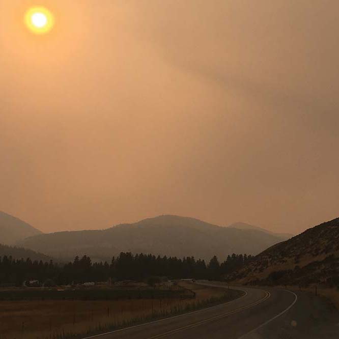 Trees and hills seen through a smoky sky